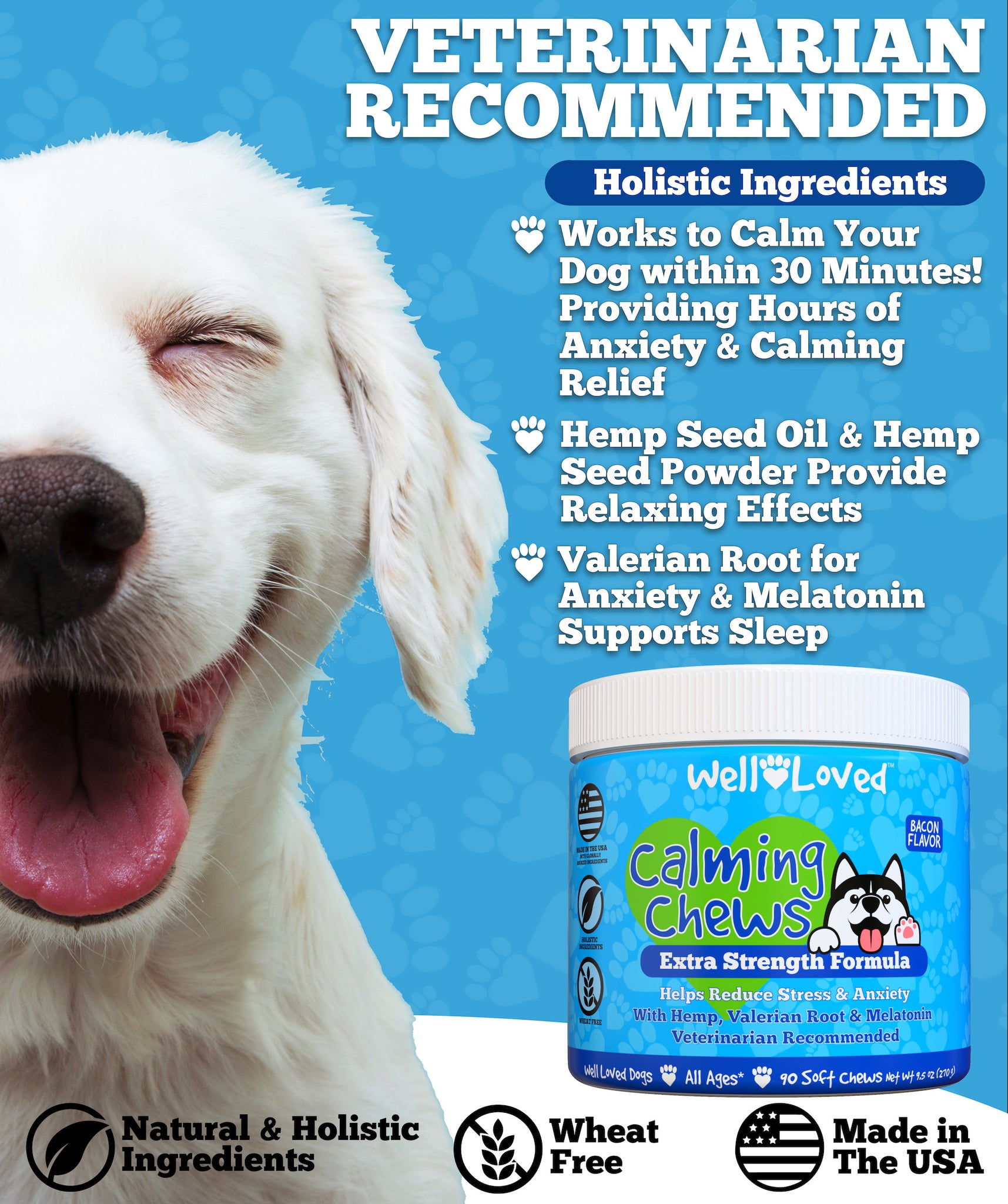 Calming Chews Best Separation Anxiety Meds For Dogs Yecuce Calming